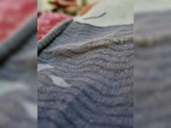 DiiRolla webcam model stream image