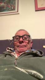 4n4l1zz4m1 webcam cam4 model stream image