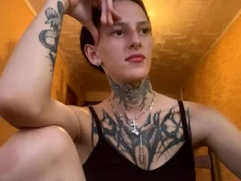 tristalevy webcam model stream image