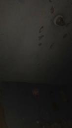 Dgiansprid webcam model stream image