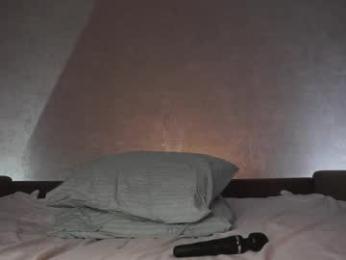 _vi_vi_ webcam model stream image