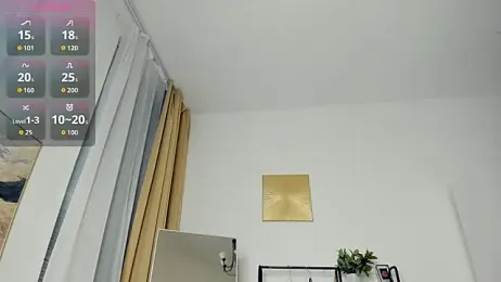 FaaBinaa webcam model stream image