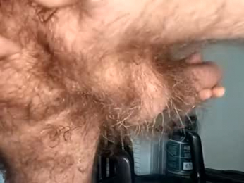funny_quarantine webcam model stream image
