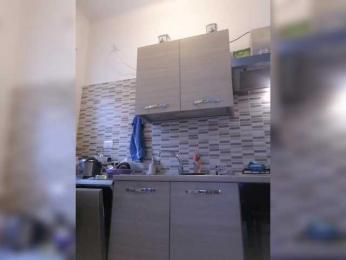 Dark-Angel-22 webcam model stream image