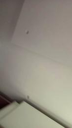 Cirsor08 webcam model stream image