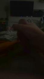 gazm251 webcam model stream image