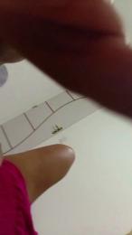 Lidiagomess webcam model stream image