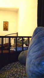 alicepractice5 webcam model stream image