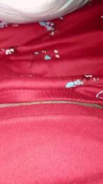 PorcellaRomana webcam model stream image