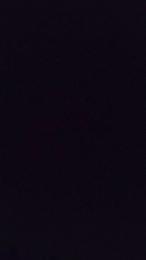 PorcellaRomana webcam model stream image