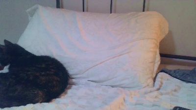 ElenaRey webcam model stream image