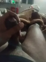 gawwalibhabhi_24 webcam model stream image