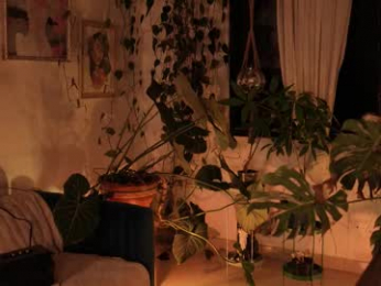 effylowell_ webcam model stream image
