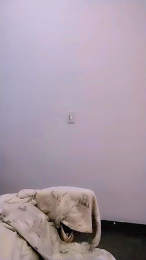Kittyfeet1 webcam model stream image