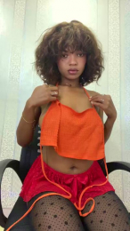 Vallilla webcam model stream image