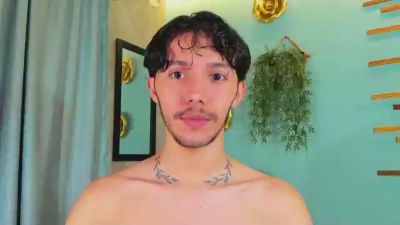 2tommygregg webcam model stream image