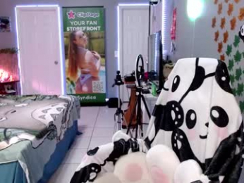 syndica webcam model stream image