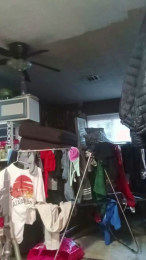 thompson3 webcam model stream image