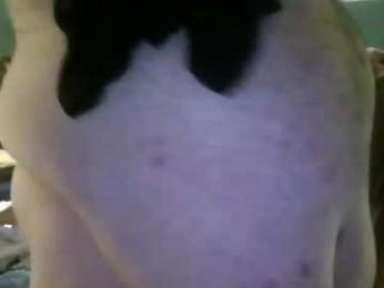 gaydaddy48 webcam model stream image