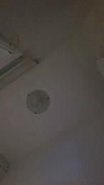 layla229 webcam model stream image