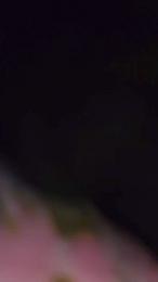 layla229 webcam model stream image