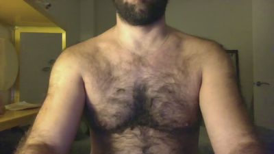 maestroy webcam model stream image