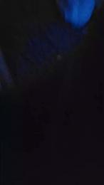 Kittyxcupcake webcam model stream image