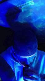 TattedRhino69 webcam model stream image