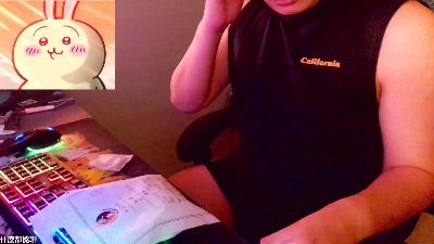 23355663 webcam model stream image