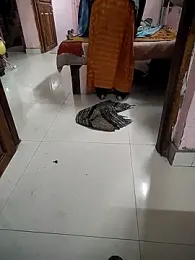 COUPLLE_VILLAGE webcam model stream image