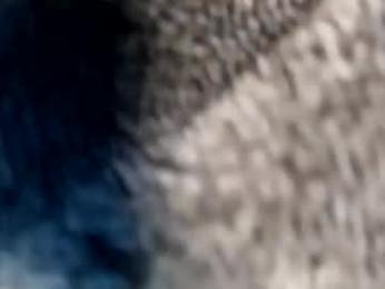 morgancbx webcam model stream image