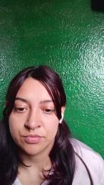 AlkiCor webcam model stream image