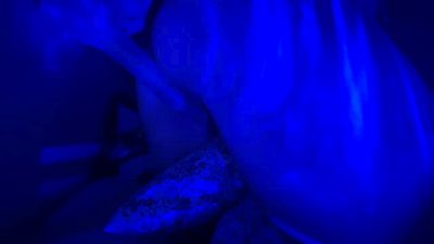 90scherrypop_ webcam model stream image