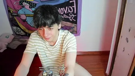 sai_l01 webcam model stream image