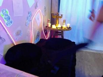 EDEM-ART webcam model stream image