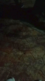 Lechebizvm webcam model stream image