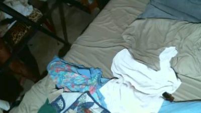mrtease54 webcam model stream image