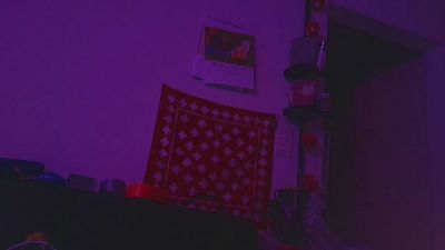 PanicRoom webcam model stream image