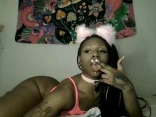 mochamuse webcam model stream image