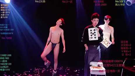 BOYGAYHOUSE1 webcam stripchat model stream image