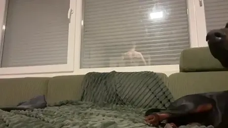 TheJerkingGuy webcam model stream image