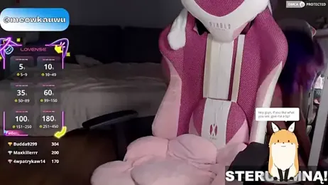 DigitalMeowka webcam model stream image
