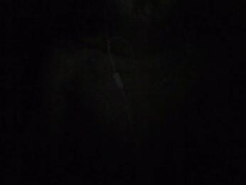 anxf webcam model stream image