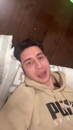 Vitruvio30 webcam cam4 model stream image