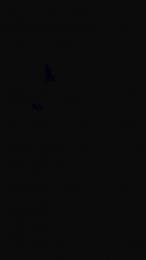 Gaatiitaa7 webcam model stream image