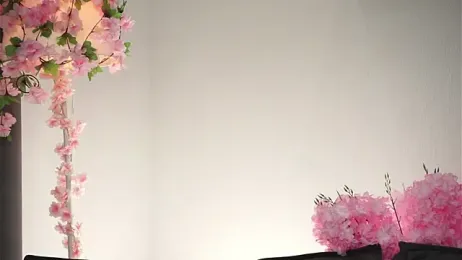 AmiLewis webcam model stream image