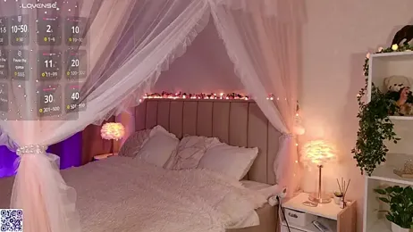 LeraKit webcam model stream image