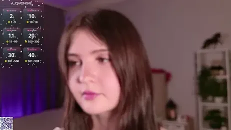 LeraKit webcam model stream image