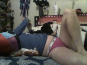 Bambi-40 webcam model stream image