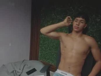 damon_sw webcam model stream image